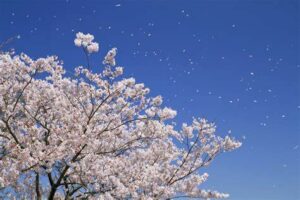 岡山県立高校